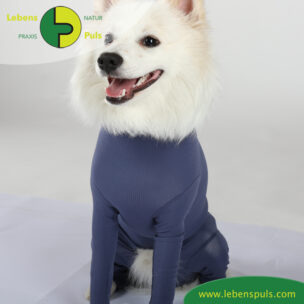 VetMedCare Tierbedarf Dog + Cat Body mit 4 Beinen Ruede indigoblue sitz vorne