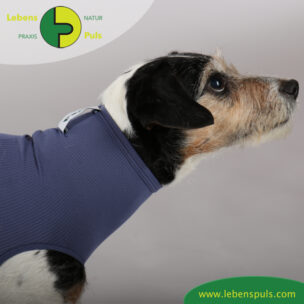 VetMedCare Tierbedarf Dog + Cat Body Huendin indigoblue Hals