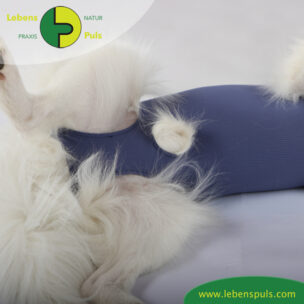 VetMedCare Tierbedarf Dog + Cat Body Ruede indigoblue Bauch