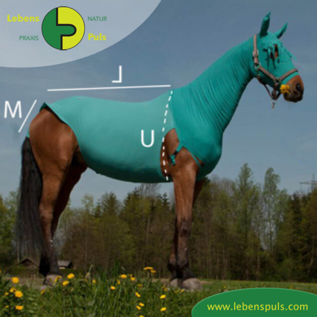 VetMedCare Tierbedarf Pferde Body, Wundschutz für Pferde