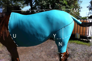 VetMedCare Tierbedarf Pferde Body mit Bein Größentabelle