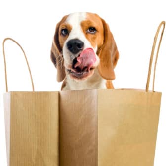 Hunde Futter-Abo