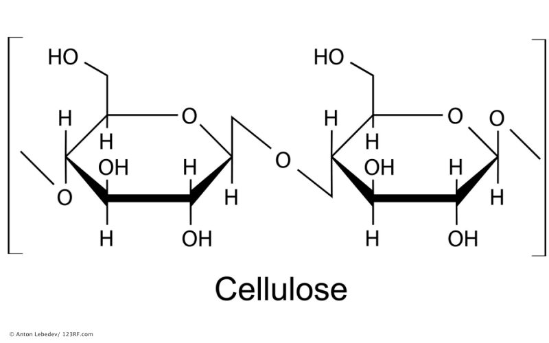 Ballaststoffe Archive 🥇 Naturpraxis LebensPuls