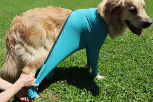 VetMedCare Tierbedarf Dog and Cat Body mit 4 Beinen und Zipper greenblue anziehen1