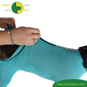 VetMedCare Tierbedarf Dog + Cat Body mit 4 Beinen und Zipper greenblue anlegen1