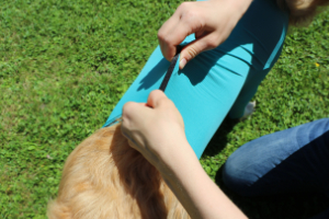 VetMedCare Tierbedarf Dog and Cat Body mit 4 Beinen und Zipper greenblue anziehen5