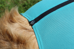 VetMedCare Tierbedarf Dog and Cat Body mit 4 Beinen und Zipper greenblue anziehen6