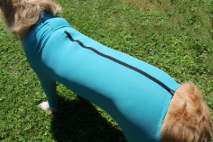 VetMedCare Tierbedarf Dog and Cat Body mit 4 Beinen und Zipper greenblue anziehen7