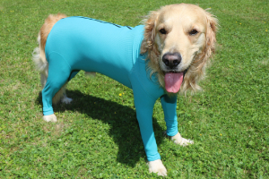 VetMedCare Tierbedarf Dog and Cat Body mit 4 Beinen und Zipper greenblue anziehen8