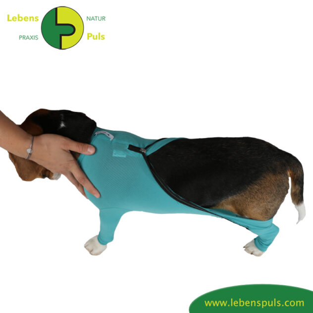 VetMedCare Tierbedarf Dog + Cat Body mit 4 Beinen und Zipper greenblue anlegen