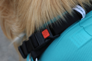 VetMedCare Tierbedarf Dog and Cat Body mit 4 Beinen und Zipper greenblue Halsband