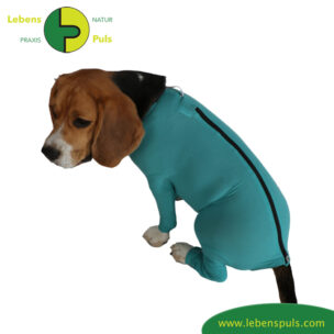 VetMedCare Tierbedarf Dog + Cat Body mit 4 Beinen und Zipper greenblue Hinteransicht