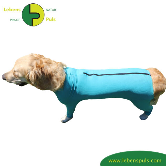 VetMedCare Tierbedarf Dog + Cat Body mit 4 Beinen und Zipper greenblue Obenansicht