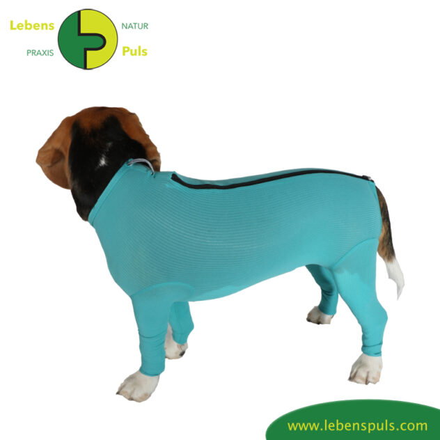 VetMedCare Tierbedarf Dog + Cat Body mit 4 Beinen und Zipper greenblue Seitenansicht