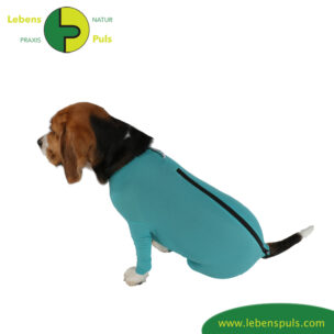 VetMedCare Tierbedarf Dog + Cat Body mit 4 Beinen und Zipper greenblue Rücken