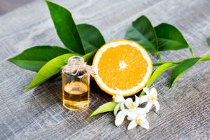 Aromatherapie Düfte für Tiere Neroli Öl Orangenblüten Beitrag LebensPuls 123rf