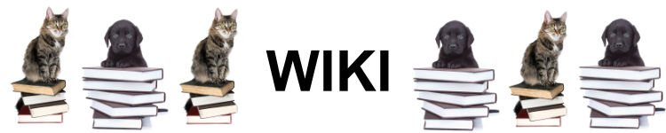 WIKI Wikipedia Hund Katze LebensPuls 123rf