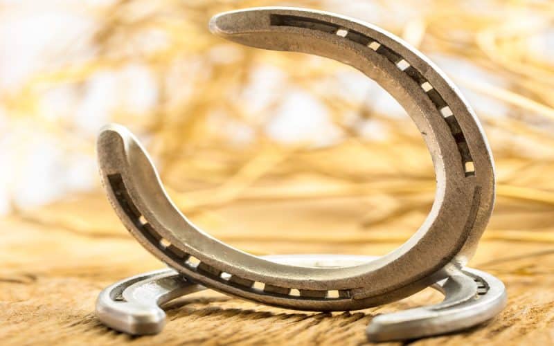 Ergänzungsfuttermittel Natürlich Pferde Hufeisen 123rf