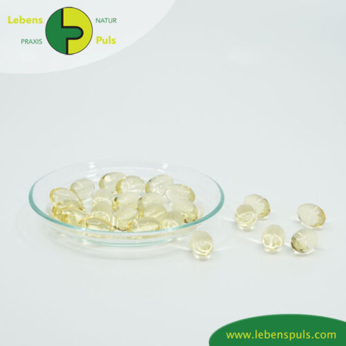 Optisolo Omega 3 | Fischöl Kapseln von Futtermedicus | Hund + Katze 10 Futtermittelergänzung Futtermedicus Optisolo Omega 3 Lachsöl Kapseln