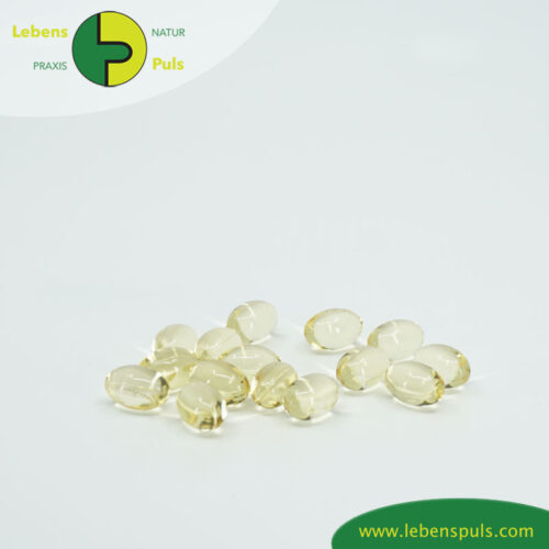 Optisolo Omega 3 | Fischöl Kapseln von Futtermedicus | Hund + Katze 11 Futtermittelergänzung Futtermedicus Optisolo Omega 3 Lachsöl Kapseln