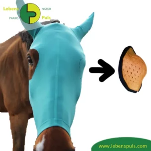 VetMedCare Tierbedarf Pferde Augenabstandshalter für Pferde Kopfmaske, Wundschutz für Pferde