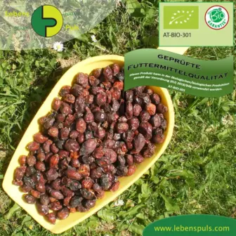 Einzelfuttermittel Natürlich Pferd BIO Hagebutten Immunsystem Vitamin C