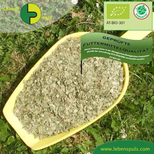 BIO Birkenblรคtter | Blรคtter geschnitten | Krรคuter fรผr Pferde | wertvolle Nahrungsergรคnzung fรผr Futtermittel 2 Einzelfuttermittel Natรผrlich Pferd BIO Birkenblรคtter blutreinigend harntreibend
