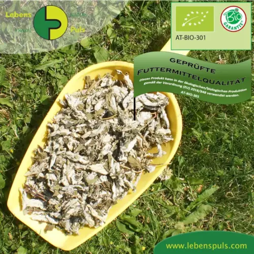 BIO Himbeerblätter | Blätter geschnitten | Kräuter für Pferde | wertvolle Nahrungsergänzung für Futtermittel 2 Einzelfuttermittel Natürlich Pferd BIO Himbeerblätter blutreinigend schwerzstillend entzündungshemmend