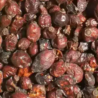 BIO Hagebutten | Früchte im Ganzen | für Pferde | wertvolle Nahrungsergänzung für Futtermittel 9 Einzelfuttermittel Natürlich Pferd BIO Hagebutten Immunsystem Vitamin C