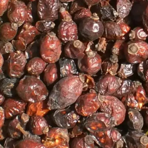 BIO Hagebutten | Früchte im Ganzen | für Pferde | wertvolle Nahrungsergänzung für Futtermittel 9 Einzelfuttermittel Natürlich Pferd BIO Hagebutten Immunsystem Vitamin C