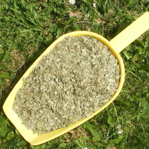 BIO Birkenblätter | Blätter geschnitten | Kräuter für Pferde | wertvolle Nahrungsergänzung für Futtermittel 8 Einzelfuttermittel Natürlich Pferd BIO Birkenblätter blutreinigend harntreibend