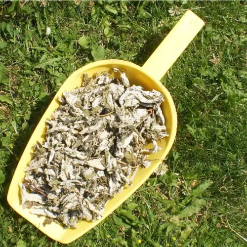 BIO Himbeerblätter | Blätter geschnitten | Kräuter für Pferde | wertvolle Nahrungsergänzung für Futtermittel 8 Einzelfuttermittel Natürlich Pferd BIO Himbeerblätter blutreinigend schwerzstillend entzündungshemmend