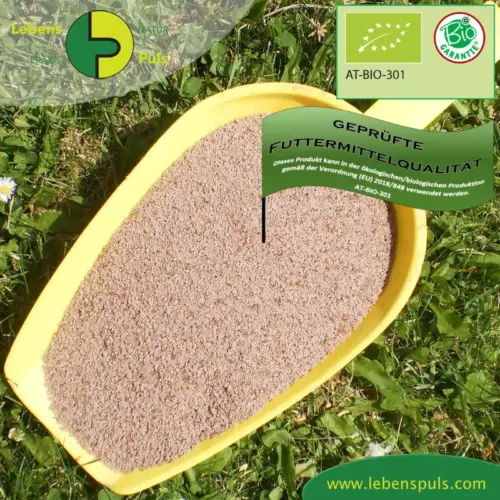 BIO Flohsamen | Samen gemahlen | Kräuter für Pferde | wertvolle Nahrungsergänzung für Futtermittel 1 Einzelfuttermittel Natürlich Pferd BIO Flohsamen Präbiotikum Darmsanierung