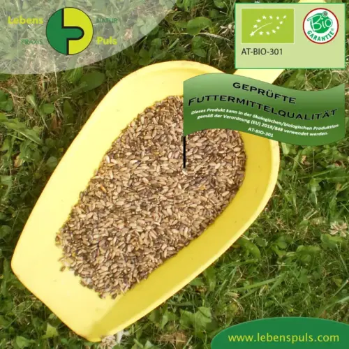 BIO Mariendistel | Samen ganz | Krรคuter fรผr Pferde | wertvolle Nahrungsergรคnzung fรผr Futtermittel 2 Einzelfuttermittel Natรผrlich Pferd BIO Mariendistel Samen entgiftend reinigend Leber regenerierend