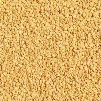 BIO Bockshornklee | Samen ganz | Kräuter für Pferde | wertvolle Nahrungsergänzung für Futtermittel 9 Einzelfuttermittel Natürlich Pferd BIO Bockshornklee Samen entzündungshemmend Blutzucker regulierend Immunsystem stärkend