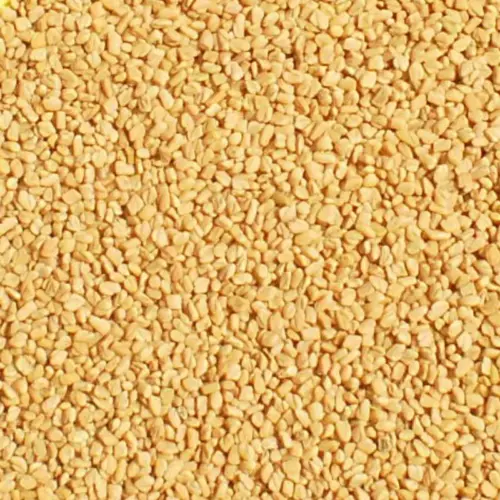 BIO Bockshornklee | Samen ganz | Krรคuter fรผr Pferde | wertvolle Nahrungsergรคnzung fรผr Futtermittel 9 Einzelfuttermittel Natรผrlich Pferd BIO Bockshornklee Samen entzรผndungshemmend Blutzucker regulierend Immunsystem stรคrkend