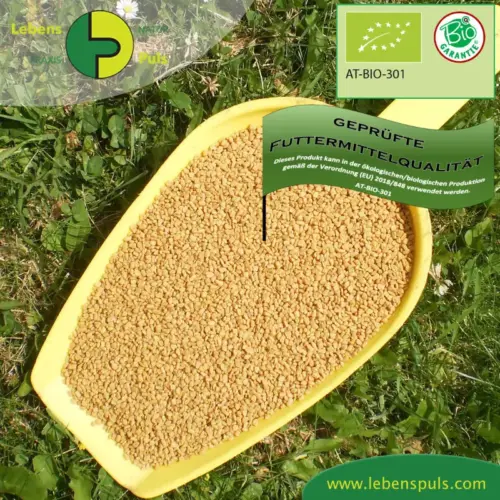 BIO Bockshornklee | Samen ganz | Krรคuter fรผr Pferde | wertvolle Nahrungsergรคnzung fรผr Futtermittel 1 Einzelfuttermittel Natรผrlich Pferd BIO Bockshornklee Samen entzรผndungshemmend Blutzucker regulierend Immunsystem stรคrkend