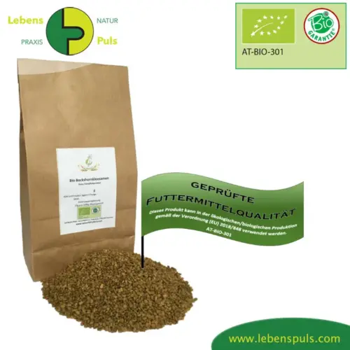 BIO Bockshornklee | Samen ganz | Krรคuter fรผr Pferde | wertvolle Nahrungsergรคnzung fรผr Futtermittel 7 Einzelfuttermittel Natรผrlich Pferd BIO Bockshornklee Samen entzรผndungshemmend Blutzucker regulierend Immunsystem stรคrkend