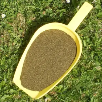 BIO Seealgen | Algen | Mehl | Krรคuter fรผr Pferde | wertvolle Nahrungsergรคnzung fรผr Futtermittel 8 Einzelfuttermittel Natรผrlich Pferd BIO Seealgen Algenmehl Verdauung Fellwechsel Futterverwertung Mineralstoffversorgung