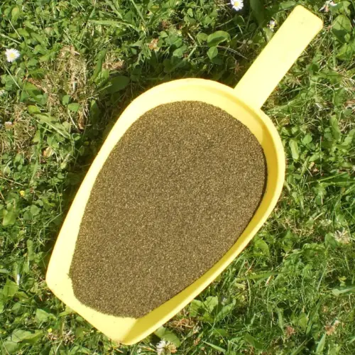 BIO Seealgen | Algen | Mehl | Krรคuter fรผr Pferde | wertvolle Nahrungsergรคnzung fรผr Futtermittel 8 Einzelfuttermittel Natรผrlich Pferd BIO Seealgen Algenmehl Verdauung Fellwechsel Futterverwertung Mineralstoffversorgung