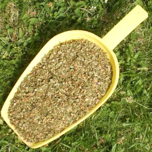 BIO Weißdorn | Blätter mit Blüten geschnitten | Kräuter für Pferde | wertvolle Nahrungsergänzung für Futtermittel 5 Einzelfuttermittel Natürlich Pferd BIO Kräuter Weißdorn Weissdorn Blätter mit Blüten geschnitten