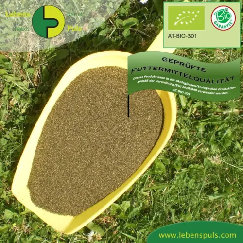 BIO Seealgen | Algen | Mehl | Krรคuter fรผr Pferde | wertvolle Nahrungsergรคnzung fรผr Futtermittel 1 Einzelfuttermittel Natรผrlich Pferd BIO Seealgen Algenmehl Verdauung Fellwechsel Futterverwertung Mineralstoffversorgung