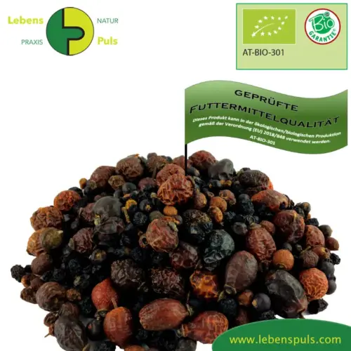 BIO Beeren Mix | Mikronährstoffe und Antioxidantien für Pferde | spezielle Futtermittel 1 Ergänzungsfuttermittel Mikronährstoffe Antioxidantien Natürlich Pferd BIO Beeren Mix