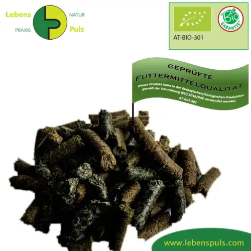 BIO Lecker Mix | Leckerli fΓΌr Pferde | Vitalstoffreiche Belohnung 1 ErgΓ€nzungsfuttermittel NatΓΌrlich Pferd BIO Lecker Mix