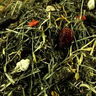 BIO Natur Pur Basis | Krรคuterfutter fรผr Pferde | Basisversorgung fรผr Freizeitpferde 6 Ergรคnzungsfuttermittel Krรคuterfutter Natรผrlich Pferd BIO Natur Pur Basis