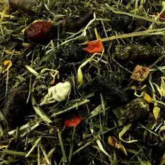 BIO Natur Pur Extra Fit | Kräuterfutter für Pferde | vitalstoffreiches Extra für Freizeitpferde 6 Ergänzungsfuttermittel Kräuterfutter Natürlich Pferd BIO Natur Pur Extra Fit