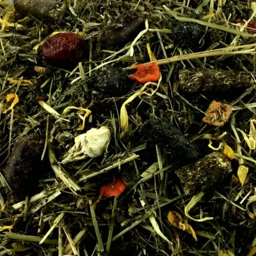 BIO Natur Pur Extra Fit | Kräuterfutter für Pferde | vitalstoffreiches Extra für Freizeitpferde 6 Ergänzungsfuttermittel Kräuterfutter Natürlich Pferd BIO Natur Pur Extra Fit