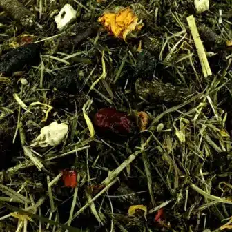 BIO Natur Pur Vital Plus | Kräuterfutter für Pferde | mit Hanfsamen | Superfood für Pferde 6 Ergänzungsfuttermittel Kräuterfutter Natürlich Pferd BIO Natur Pur Vital Plus