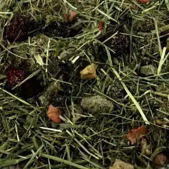 BIO Natur Pur prebiotisches Mash | wohltuendes KrΓ€uterfutter fΓΌr die Verdauung vom Pferd 6 ErgΓ€nzungsfuttermittel KrΓ€uterfutter NatΓΌrlich Pferd BIO Natur Pur prebiotisches Mash Verdauung