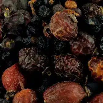 BIO Beeren Mix | MikronΓ€hrstoffe und Antioxidantien fΓΌr Pferde | spezielle Futtermittel 6 ErgΓ€nzungsfuttermittel MikronΓ€hrstoffe Antioxidantien NatΓΌrlich Pferd BIO Beeren Mix